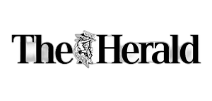 Client logo 31